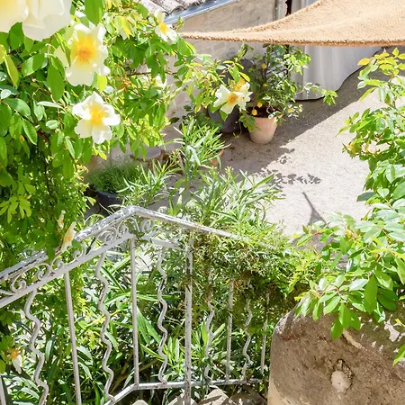 Mas De Charme - T2 Et D'hôtes Avec Piscine&jardin Couette-café Marsillargues